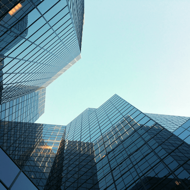 Read more about the article Success Stories: How Businesses Thrived with Offshore Accounting