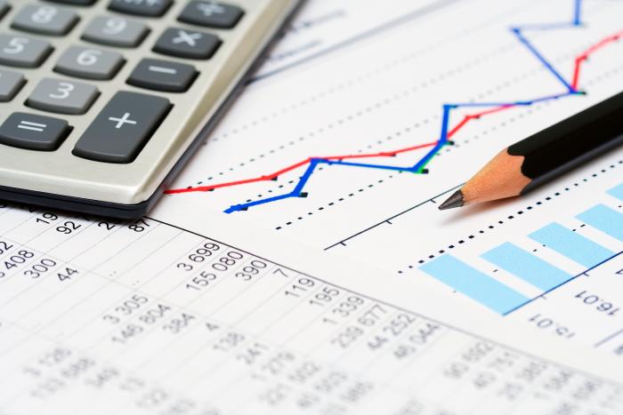 Read more about the article Success Stories: How Businesses Thrived with Offshore Accounting