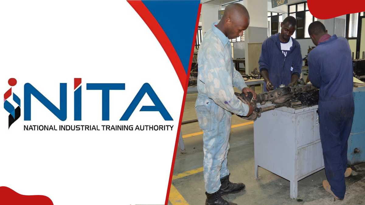 Read more about the article NITA Levy & Industrial Training in Kenya | Adamjee Auditors